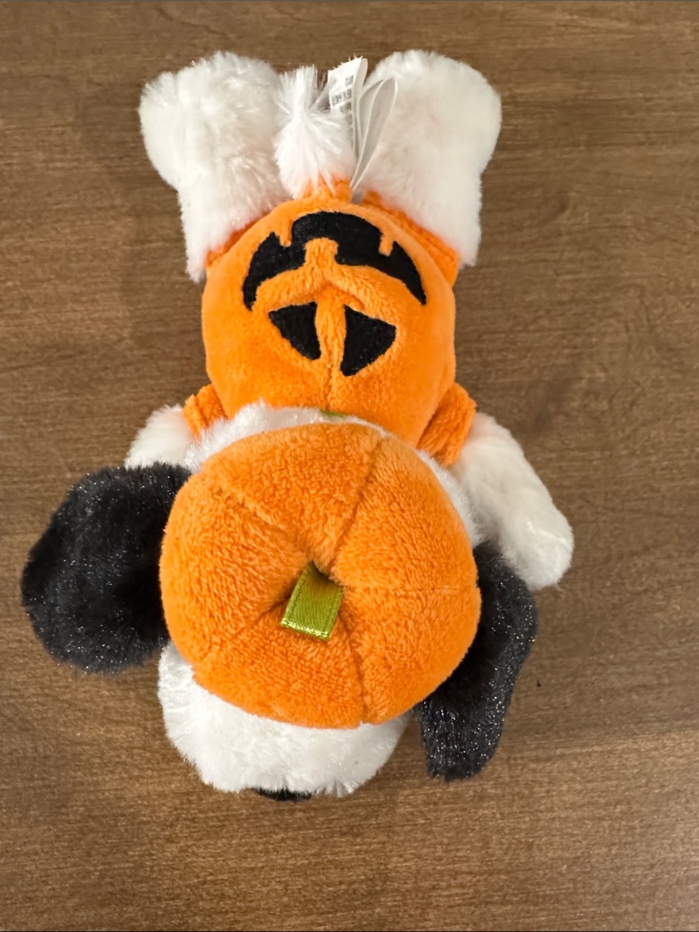 Snoopy warmie jack o lantern.
